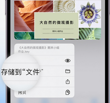 四方台apple维修中心分享iPhone文件应用中存储和找到下载文件