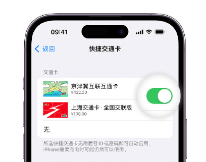 四方台apple维修点分享iPhone上更换Apple Pay快捷交通卡手绘卡面 