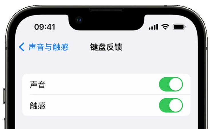 四方台苹果手机维修分享iPhone 14触感键盘使用方法 