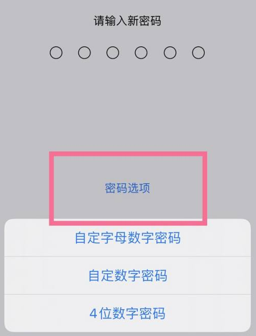 四方台苹果14维修分享iPhone 14plus设置密码的方法 