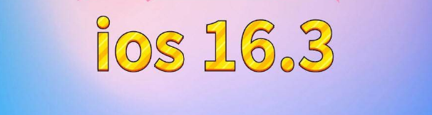 四方台苹果服务网点分享苹果iOS16.3升级反馈汇总 